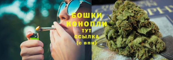 ПСИЛОЦИБИНОВЫЕ ГРИБЫ Балахна