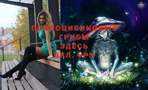 ПСИЛОЦИБИНОВЫЕ ГРИБЫ Балахна