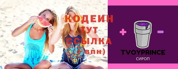 spice Арсеньев